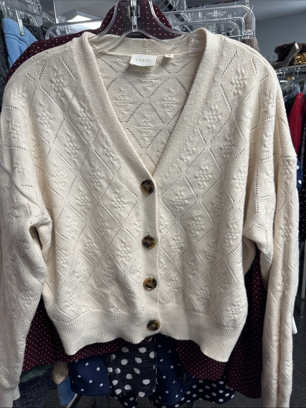 Cyrus cardigan L // 092317